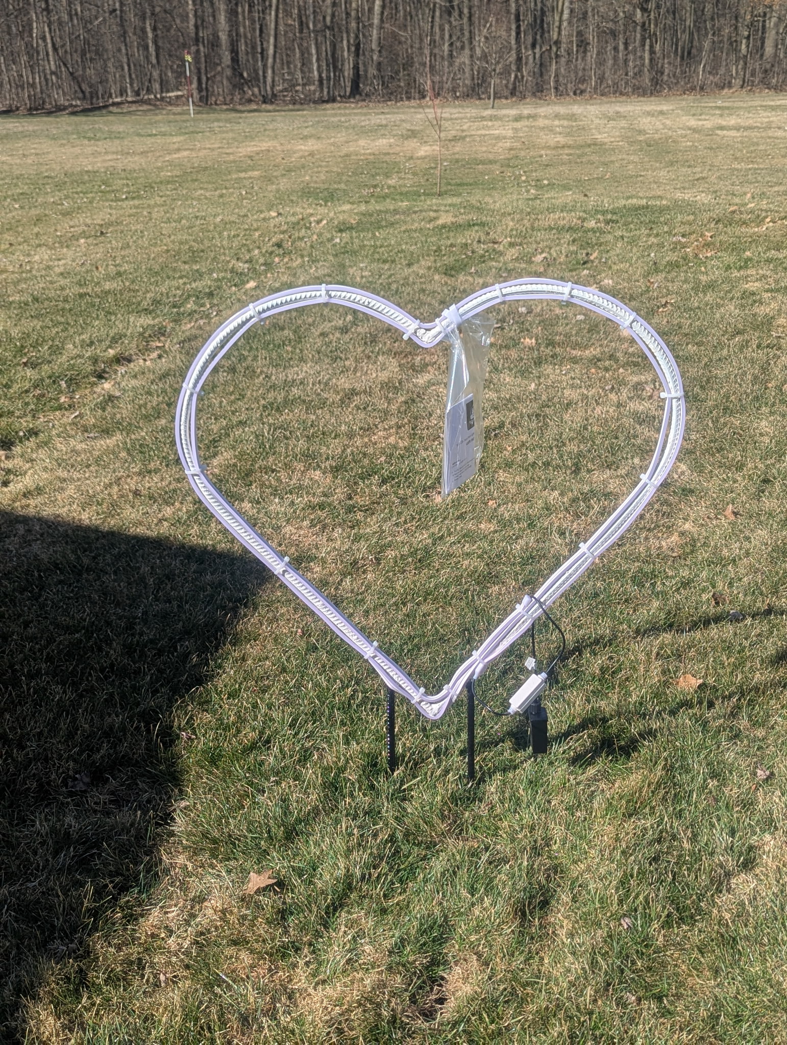 Heart Sculpture Daytime